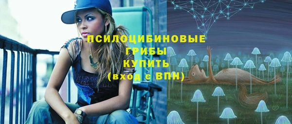 твердый Арсеньев
