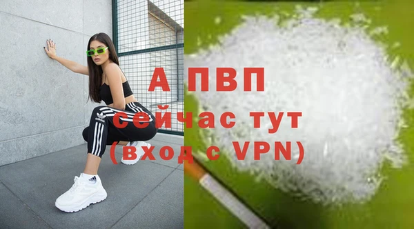 твердый Арсеньев