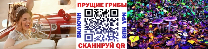 Псилоцибиновые грибы прущие грибы  Купить закладки  Оса 