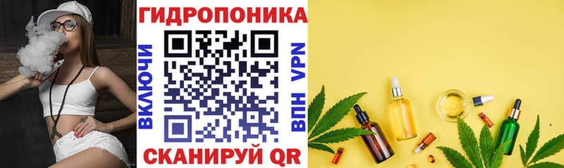 Купить  Оса  Канабис гибрид 